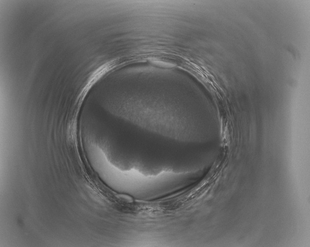 X0000115510099200911201647