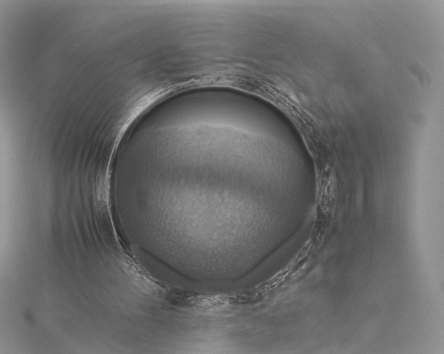 X0000115510100200911201647