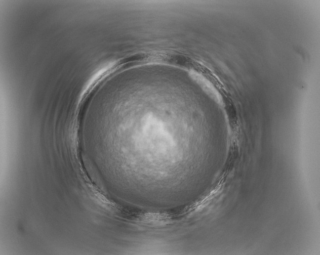 X0000115510101200911201647