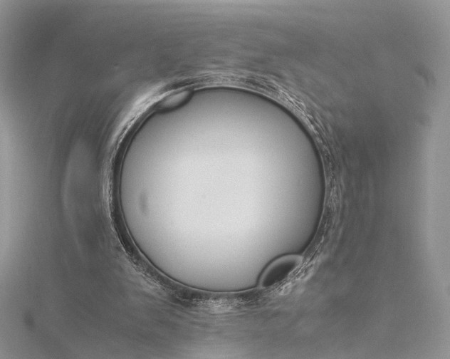 X0000115510103200911201646