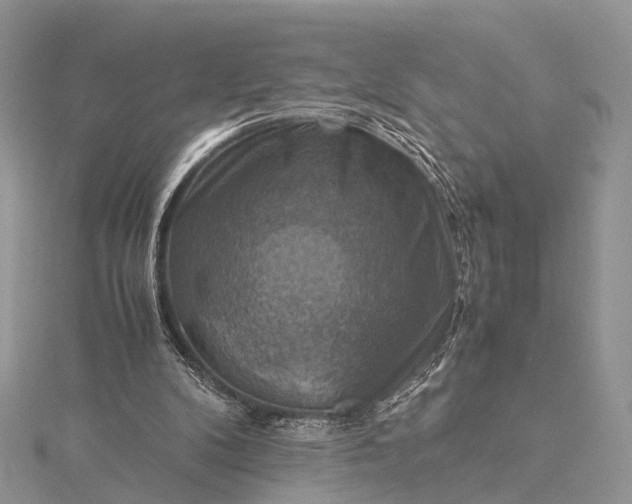 X0000115510104200911201646