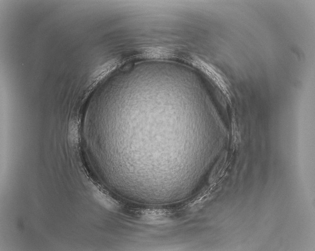 X0000115510105200911201646