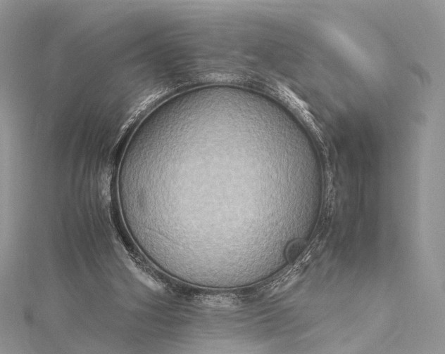 X0000115510106200911201646