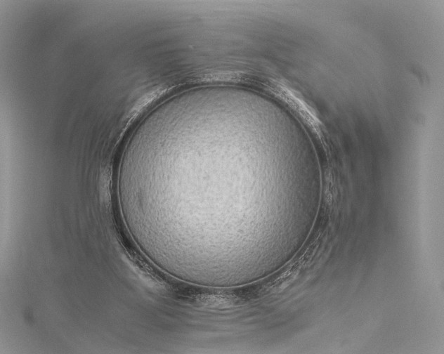 X0000115510107200911201646