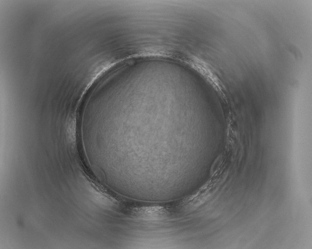 X0000115510108200911201646