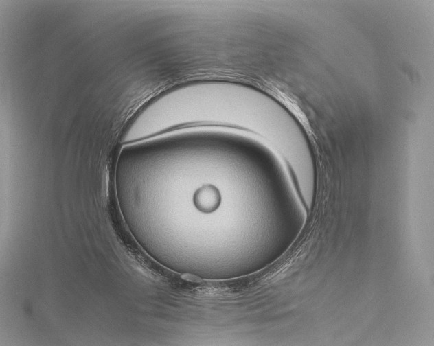 X0000115510109200911201646