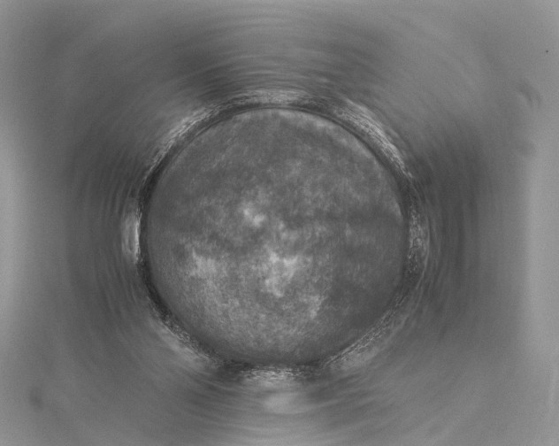 X0000115510110200911201646