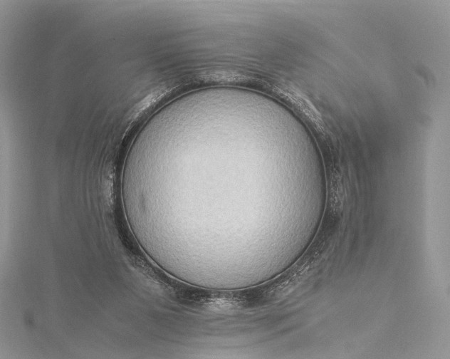 X0000115510111200911201646