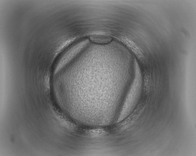 X0000115510112200911201646