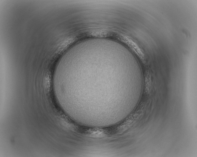 X0000115510113200911201646