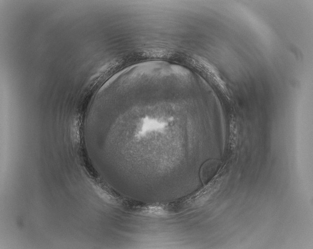 X0000115510114200911201646