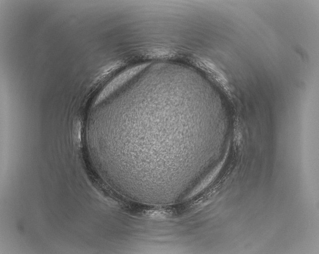 X0000115510115200911201646