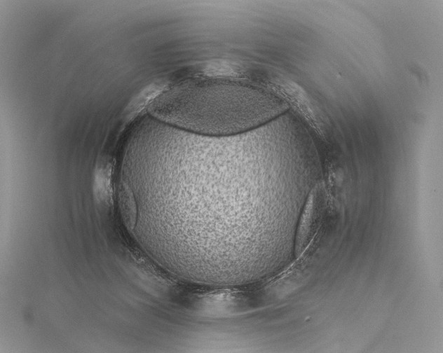 X0000115510116200911201646