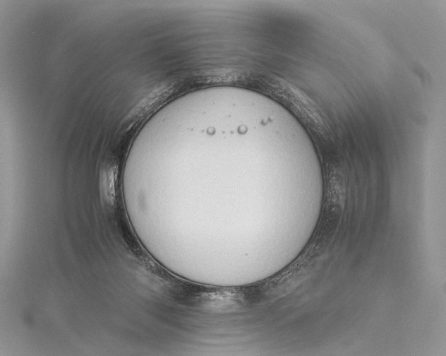 X0000115510118200911201646