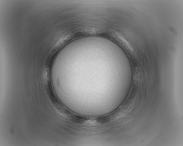 X0000115510119200911201646