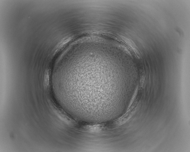 X0000115510120200911201646