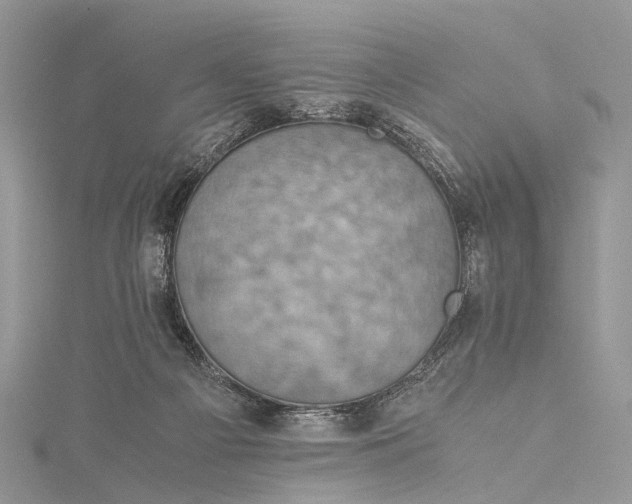 X0000115510121200911201646