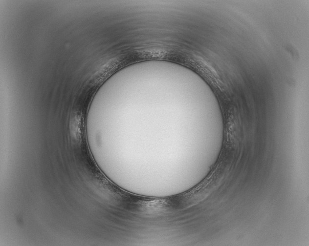 X0000115510122200911201646