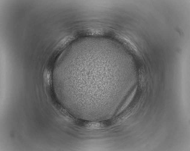 X0000115510123200911201646