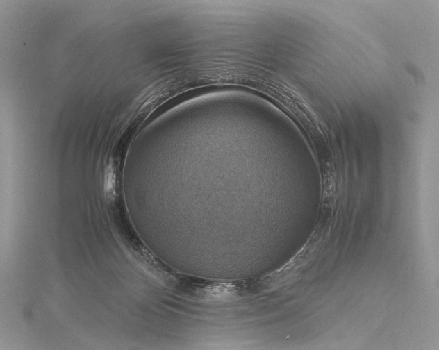 X0000115510124200911201646