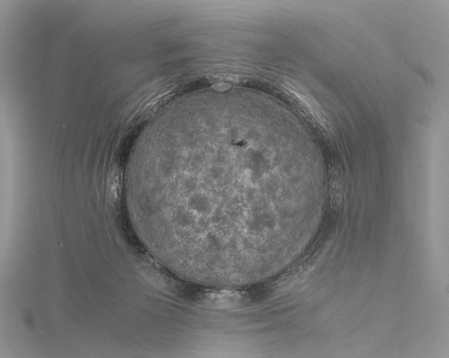 X0000115510125200911201646