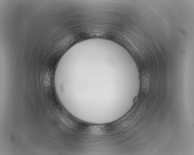 X0000115510126200911201646