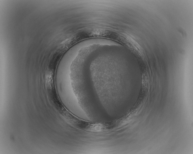 X0000115510127200911201646