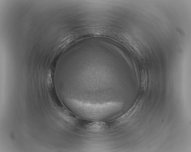 X0000115510128200911201646