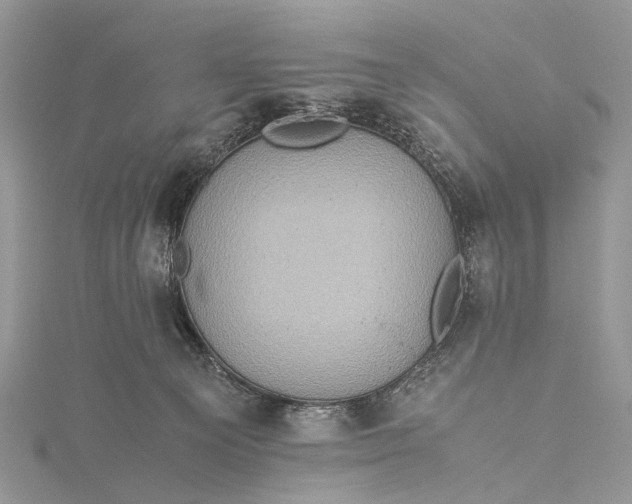 X0000115510129200911201646