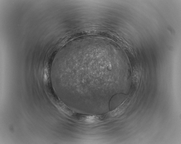 X0000115510130200911201646