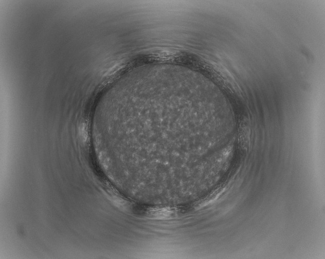 X0000115510131200911201646