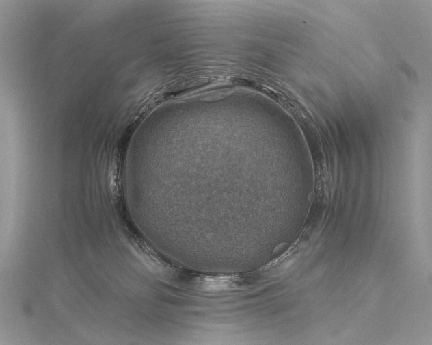 X0000115510134200911201646