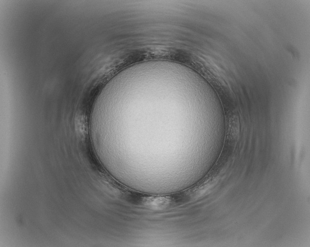 X0000115510135200911201646