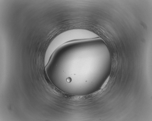 X0000115510136200911201646