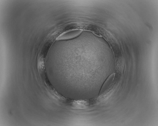 X0000115510137200911201646