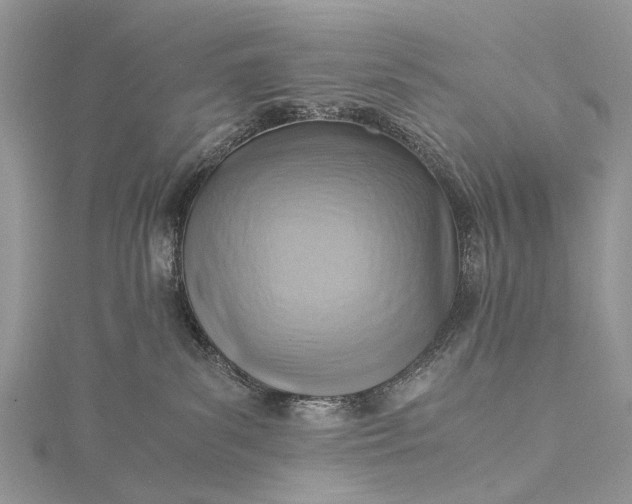 X0000115510139200911201646