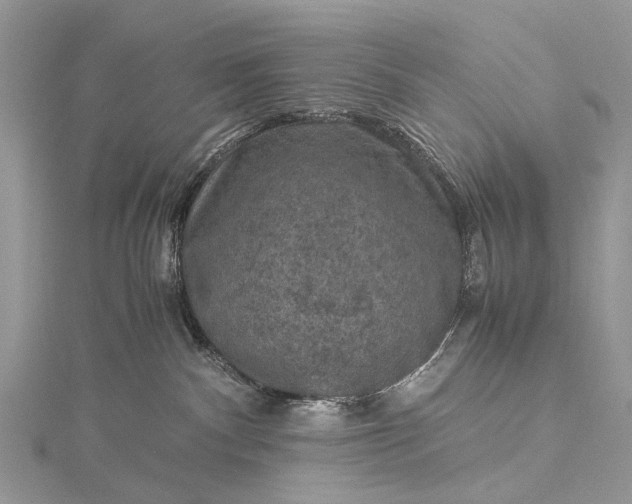 X0000115510140200911201646