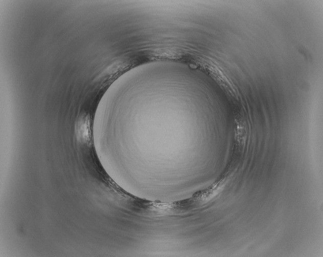 X0000115510143200911201646