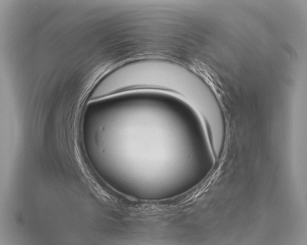 X0000115510145200911201645