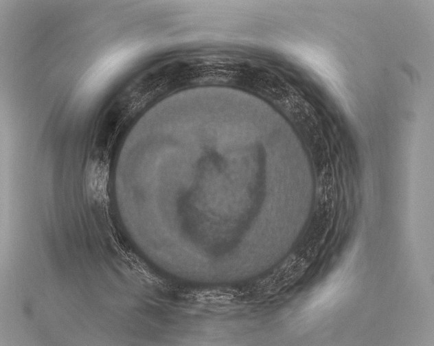 X0000115510146200911201645