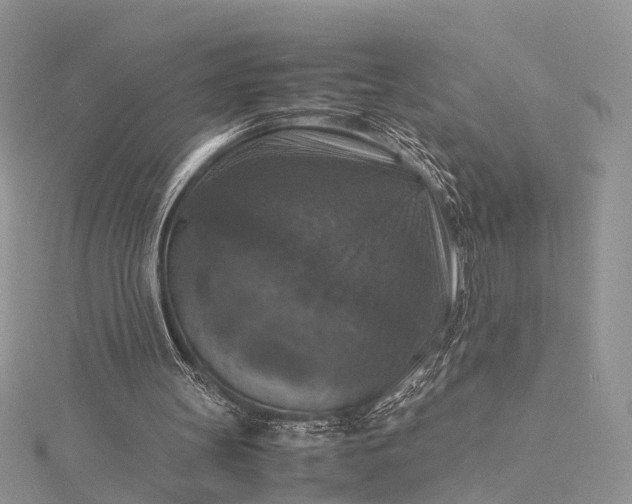 X0000115510147200911201645