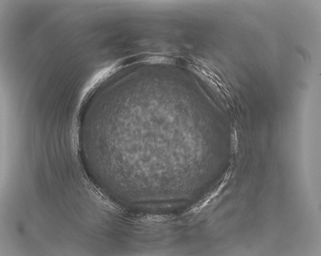 X0000115510149200911201645