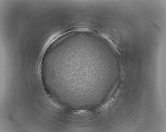 X0000115510151200911201645