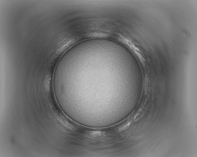 X0000115510153200911201645