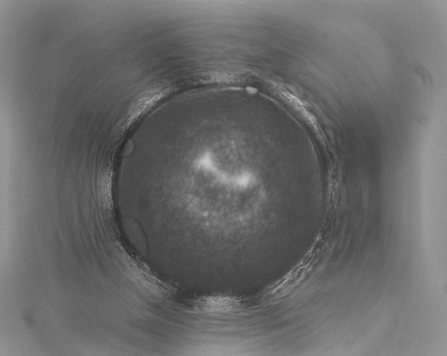 X0000115510154200911201645