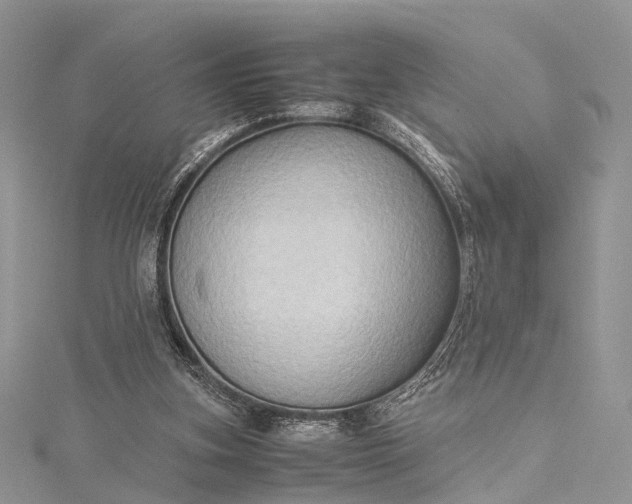 X0000115510155200911201645