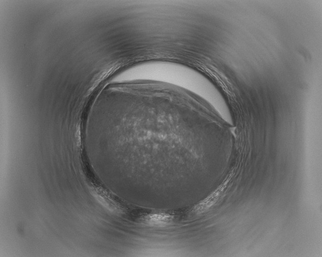 X0000115510158200911201645