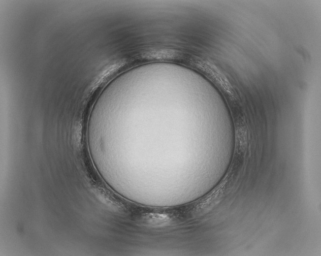 X0000115510159200911201646