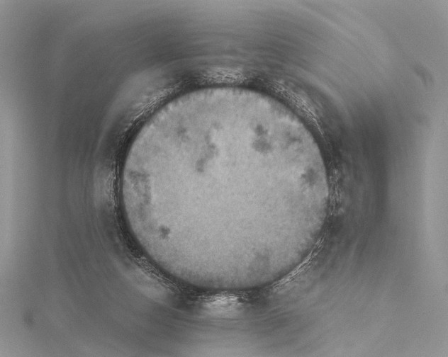 X0000115510162200911201646