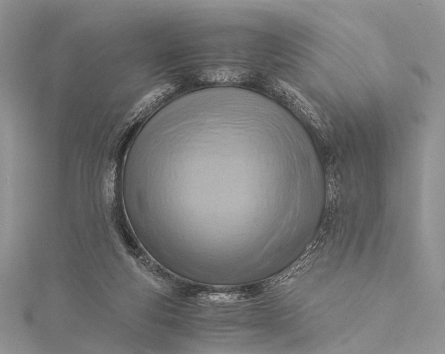 X0000115510163200911201646